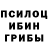 Галлюциногенные грибы Psilocybine cubensis Arturo Rojas