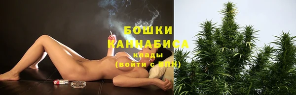 шишки Балабаново