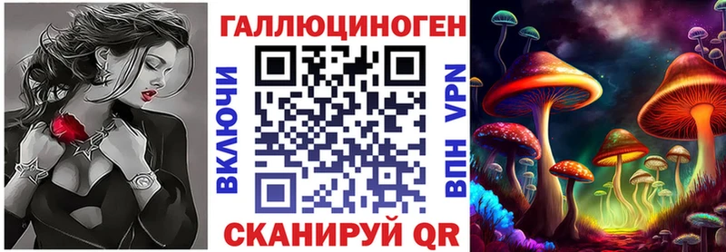 Псилоцибиновые грибы Psilocybe Волчанск